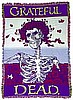 Grateful Dead - Skull & Roses Bertha Rock Blanket
