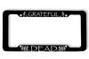 Grateful Dead - Dancing Skeleton License Plate Frame