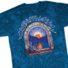 Grateful Dead - Lute Player Tie Dye T Shirt