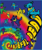 Jerry Garcia - Jerry Art Fleece Blanket