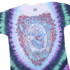 Grateful Dead - Vintage Seasons Of The Dead Tie Dye T Shirt